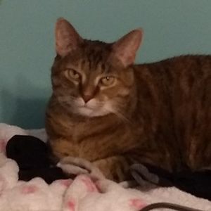 Meet your Posher, Linny